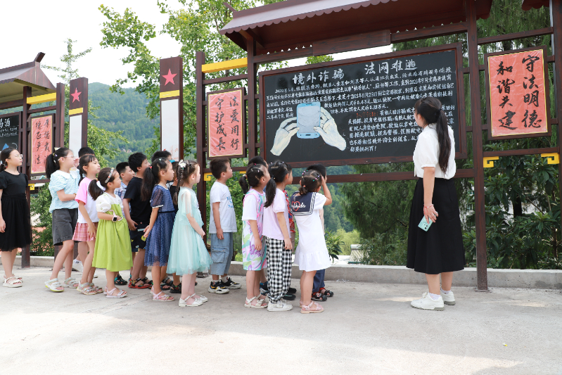 IMG_8233.JPG IMG_8233.JPG