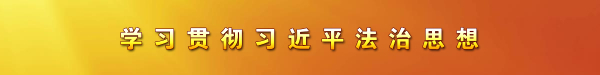 学习贯彻习近平法治思想